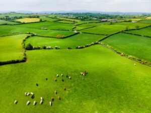 Aerial,View,Of,Endless,Lush,Pastures,And,Farmlands,Of,Ireland.