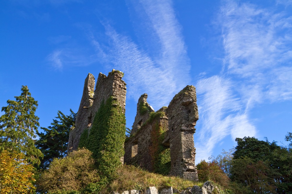 Ruins,Of,Castle,In,Castletroy,-,Ireland
